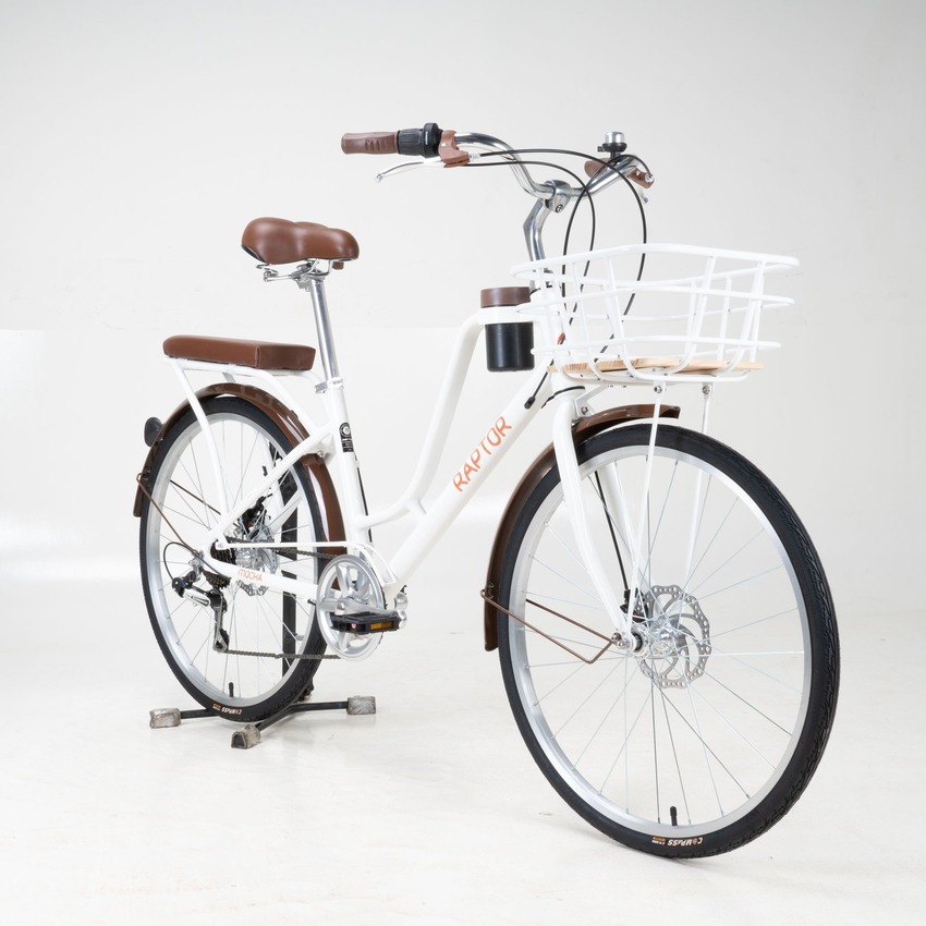 xe đạp cho nữ đi làm đẹp nhẹ